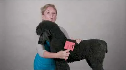 Chris Christensen Big G Slicker Brush for Poodles