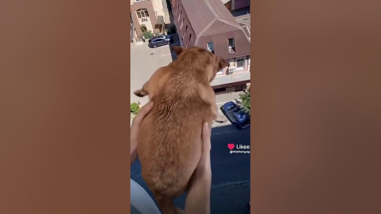нееет ☺😞😫😖😣😩😫😭😓😪😥😢😱😨😰😳😵 - YouTube