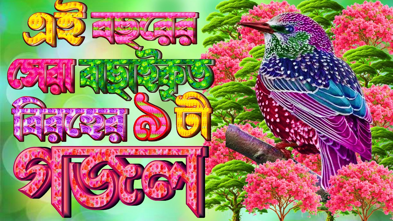 এই বছরের সেরা কিছু বাছাই করা গজল, Selected Gajal |Islamic Bangla Gojol New Best Ghazal |Best Song