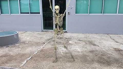 FxGuru Video - Dancing Skeleton (Demo)