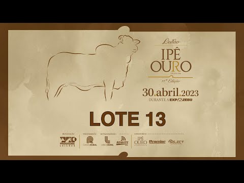 LOTE 13 AJJ 4582