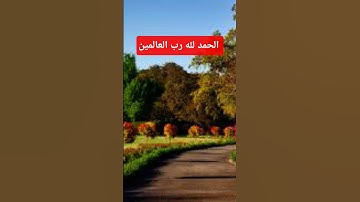 آيات من القرآن الكريم #اكسبلور #الرحمن #دويتو #المصحف #لايك #آية #راحة_نفسية #القارئ