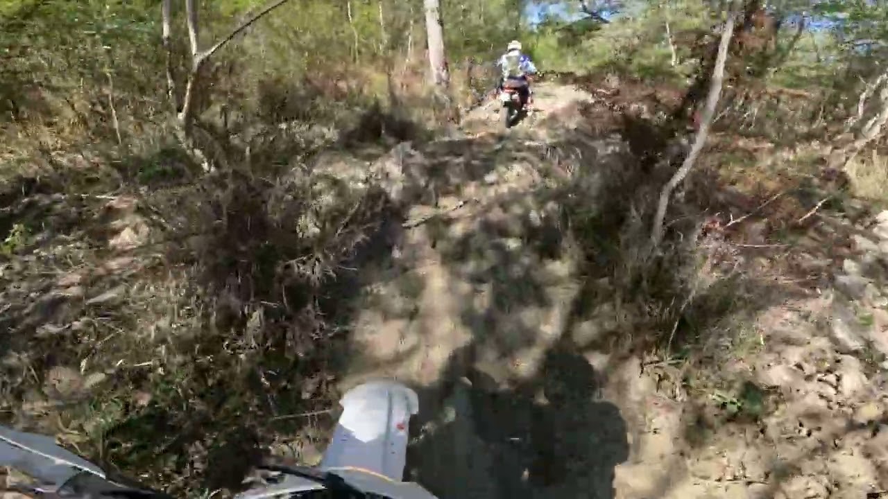 Motosmatata 2024 ( polvero')