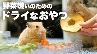 乾燥させれば食べられる？！ドライフードメーカーでウサギとハムスターのおやつ作りNo.119