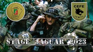 Comment survivre et combattre dans la jungle  La formation militaire la plus difficile