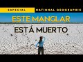 Así estamos MATANDO al PLANETA | Una Expedición con NATIONAL GEOGRAPHIC a MANGLARES muertos