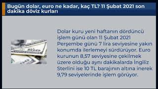 Bugün Dolar, Euro Ne Kadar, Kaç Tl? 11 Şubat 2021 Son Dakika Döviz Kurları