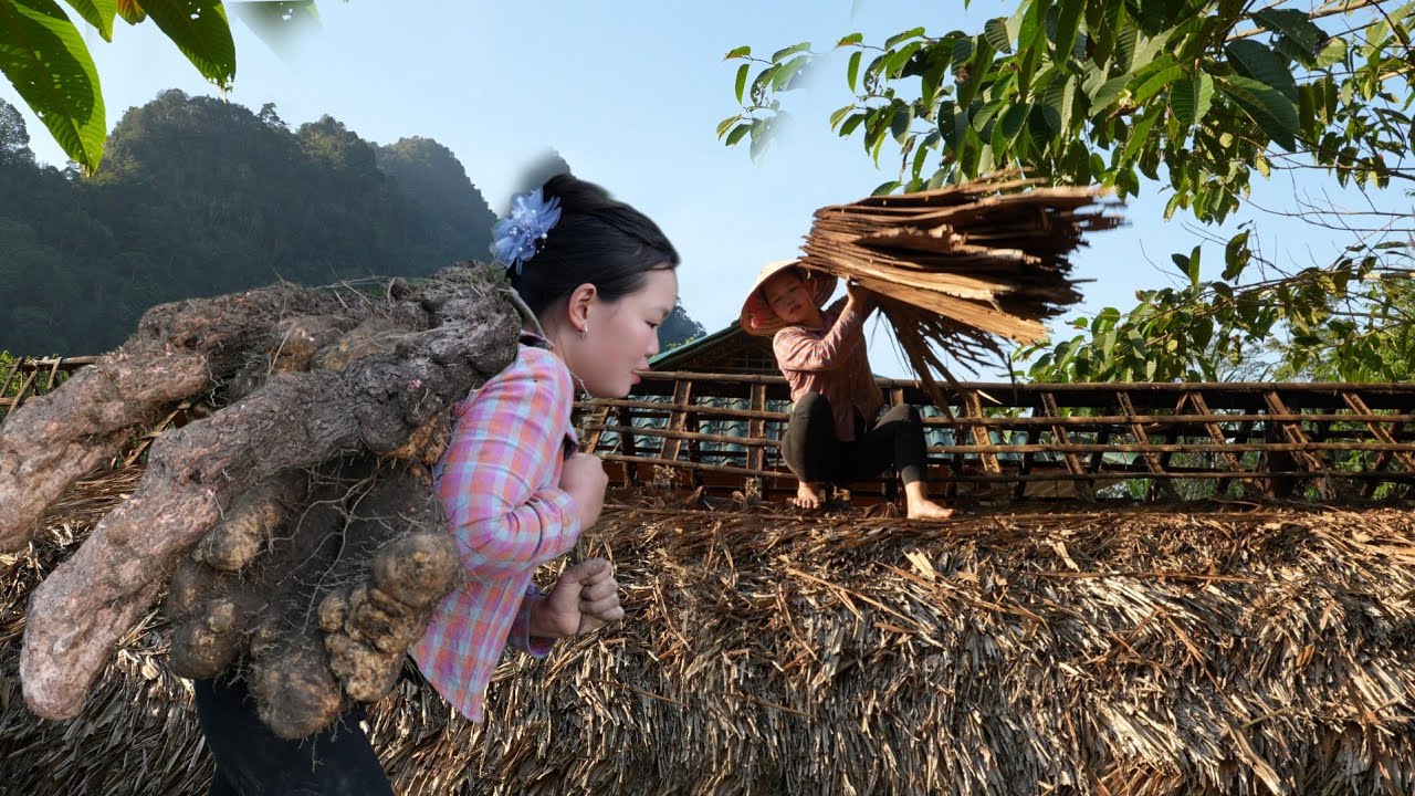 Harvesting Giant Strange Roots to Sell at the Market - Renovating an Old Kitchen Long Rotten.