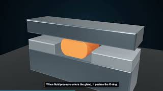 How Does an O-Ring Actually Seal | Squeeze & Pressure Explained