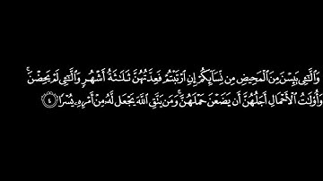سورة الطلاق  : مكررة للحفظ كل أية سبع مرات مع الفقرة :محمد أيوب:Surah At-Talaq      memorize by rote
