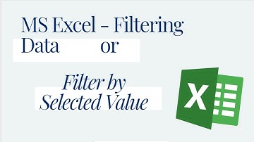 MS Excel - Filtering Data | Filter by Selected Value (Hindi/Urdu)