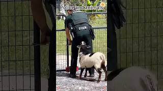 Cops And Animals