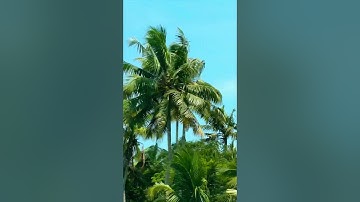 Are we living in a SIMULATION? #glitchinthematrix #simulation  #matrix #airplane #frozen #glitch