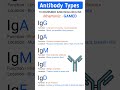 Antibody Types Made EASY! 🧠 | GAMED Mnemonic for Immunoglobulins #antibody #immunity #biologyshorts