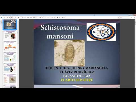 Video: Tsirkuleerivate Antigeenide Tuvastamine Ja Profileerimine Skistosomiasis Japonica Patsientide Seerumitega Sõeluuringute Teel