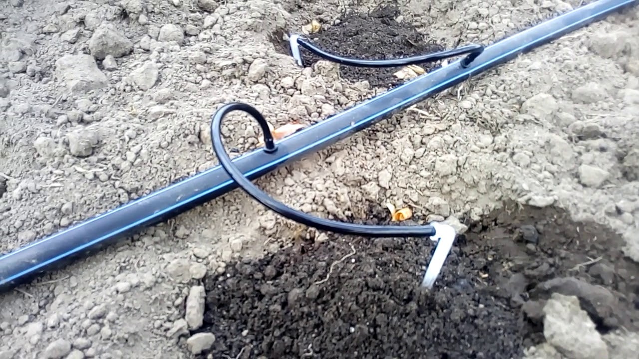 kapelnyj poliv ot bochki samotyokom youtube sevooborot ogorod kapelnoe oroshenie