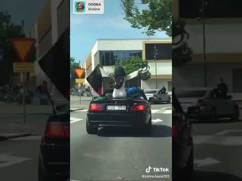 Zohra Bayats Student