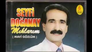 Aman Hoca Bu Ne Sarık - Seyfi Doğanay