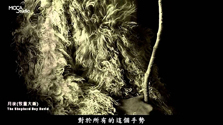 台北当代艺术馆_台湾新世代摄影展 in MOCA Studio_冯君蓝 - 天天要闻