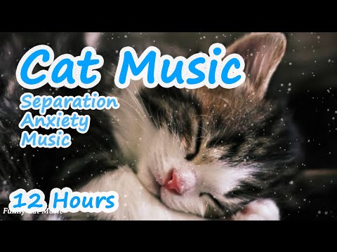 Calming Music For Cats With Anxiety Deep Soothing Music For Anxious Ill And Stressed Cats