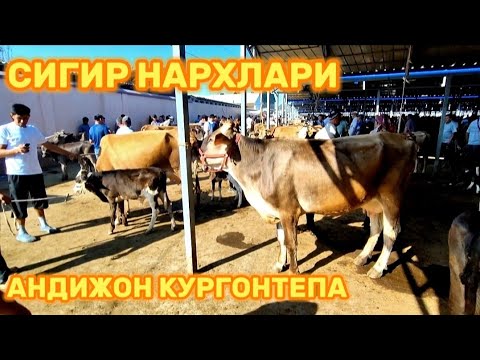 СИГИР ВА ХУНАЖИН