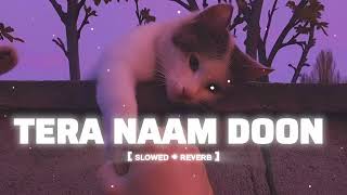 Tera Naam Doon Slowed Reverb Atif Aslam