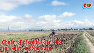 Chuẩn bị các điều kiện cho sản xuất vụ đông xuân