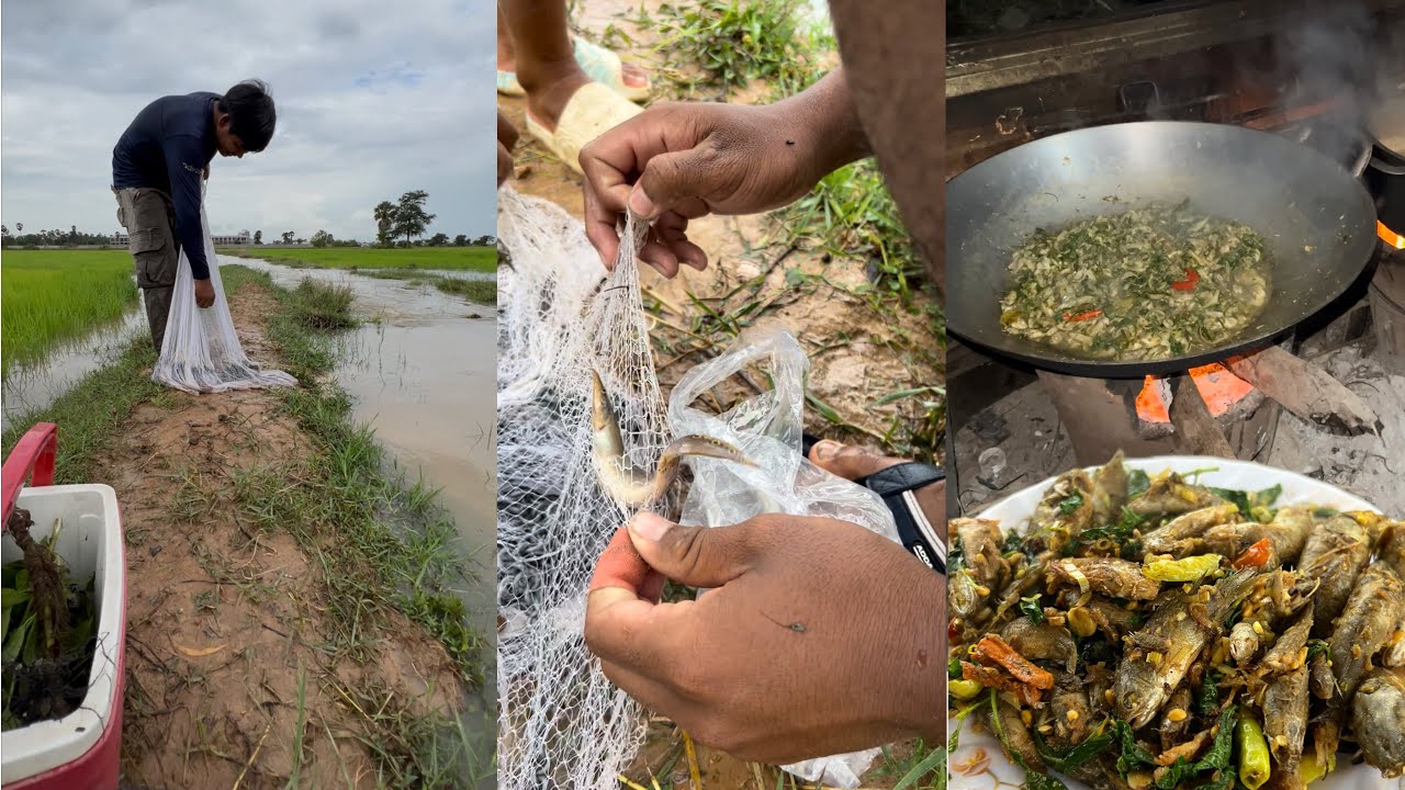 Countryside fishing food 🎣#fishing #food #cooking #countryside - YouTube