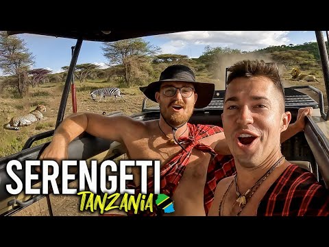 فيديو: حديقة Serengeti الوطنية: الدليل الكامل