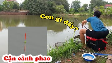 Câu Cá Thiên Nhiên - Cận cảnh phao