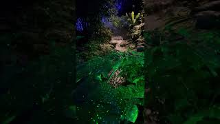 Night Garden. Fairchild Tropical Botanic Garden, Miami. #miami #nightgarden