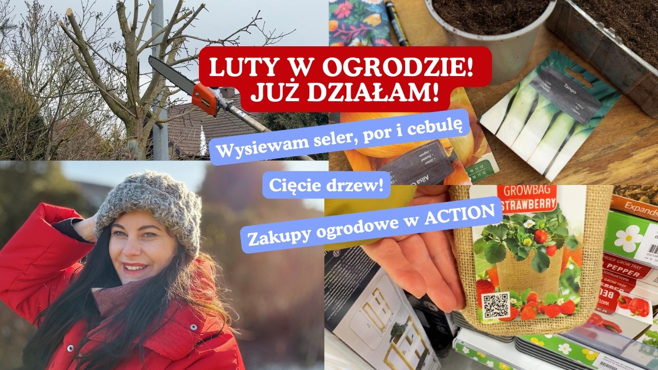 Luty w ogrodzie: zimowe cięcie drzew, pierwsze wysiewy i zakupy ogrodowe w Action | MAMY OGRÓD