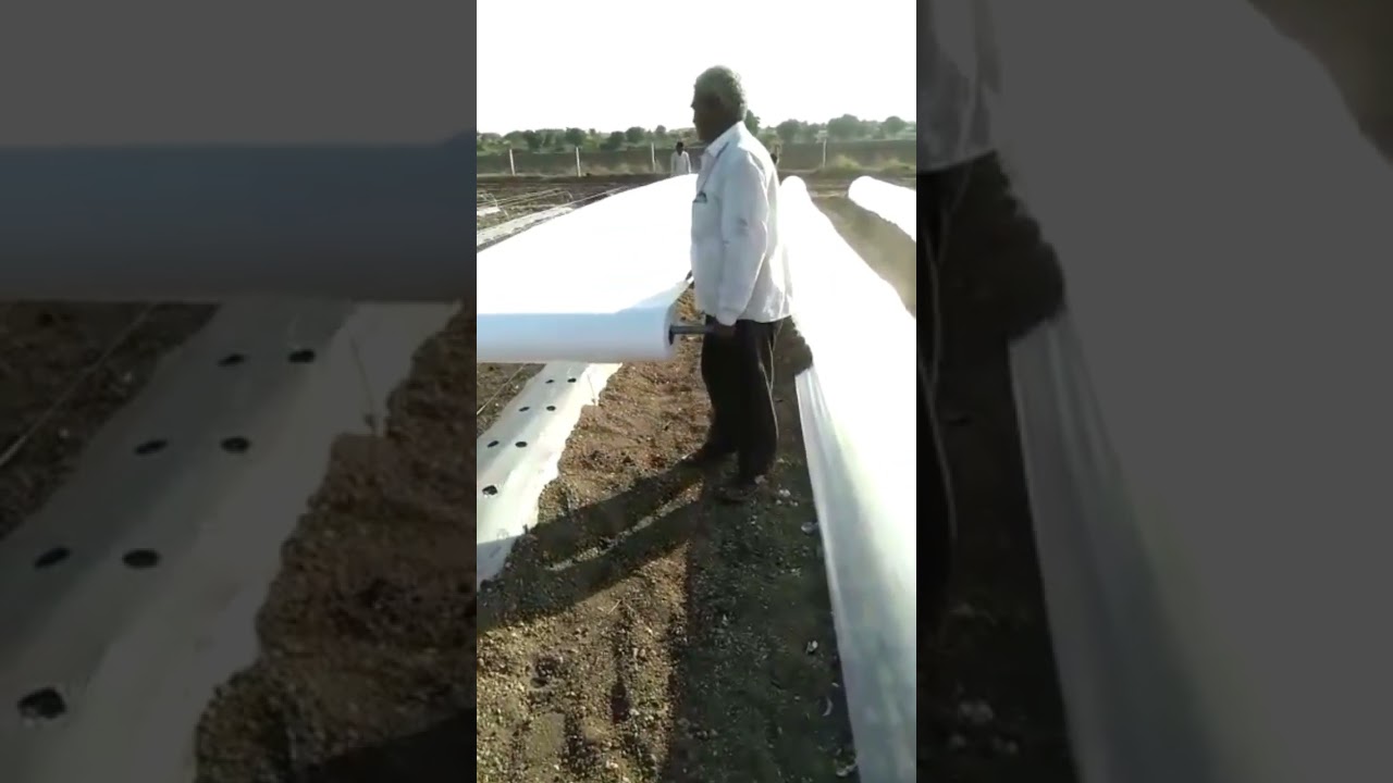 Crop Cover for all flower and veg crops at initial stage