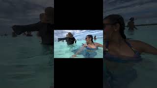 A This Fish Is So Cute