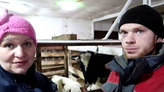Зачем Всех под ОДНУ ГРЕБЁНКУ ? Vlog Зачем Всех под ОДНУ ГРЕБЁНКУ ? Vlog
