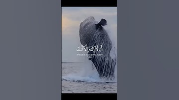 فنادى في الظلمات أن لا إله إلا أنت سبحانك💙تلاوة هادئة تريح الاعصاب🎧 #سورة_الأنبياء
