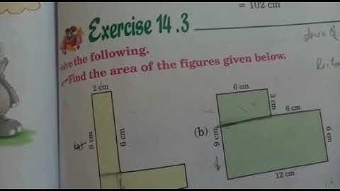Class 5 Maths Exercise 14.3
