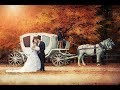 &quot;ОСЕННЯЯ СВАДЬБА&quot; ЮРИЙ ЗВЕЗДНЫЙ КРАСИВАЯ ПЕСНЯ