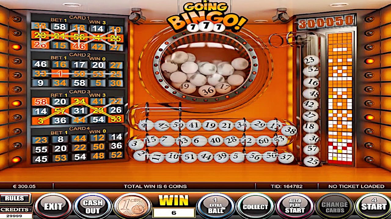 Бинго спорт