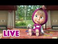 🔴 LIVE 🐻 Masha y el Oso 2022 🛣️🏞️ La Tierra desconocida 🛣️🏞️ Masha and the Bear