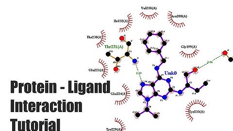 Protein-Ligand Interaction Tutorial