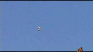 Florida Jets Video