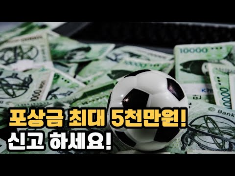 불법 사행성 도박사이트 신고하세요 최대 포상금 5천만원 지급 