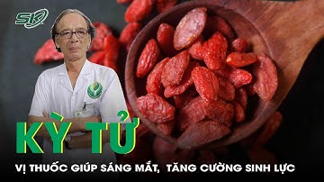 Kỳ tử – Vị thuốc bổ can thận, sáng mắt, tăng cường sinh lực | SKĐS