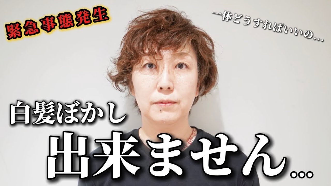 【苦難の白髪ぼかし】打つ手なし！？過去1番白髪専門美容師の頭を悩ませた髪...白髪ぼかしどうするの？[白髪ぼかしハイライト/50代]