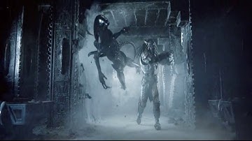 Grid Alien vs Celtic Predator