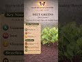 You Eat Beets… But Throw This Away? 🌿  ( Part 17 )
