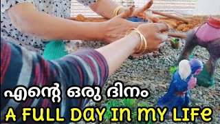 day in my life/family vlog/ice cream recipe,a fully busy day