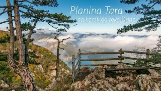 Planina Tara, na korak od reke Drine