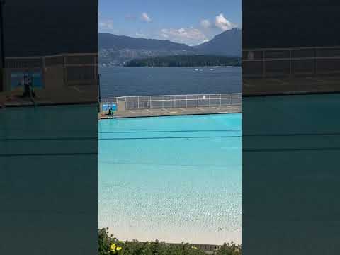 Video: Kitsilano Kanadas längster Pool